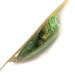 Hydro Lures Błystka antyzaczepowa Hydro Spoon, zielony, 17 g wobler #11152