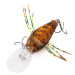  Bass Pro Shops XPS Crazy Bug, #CB-89 Natural Red Craw, 9 g wobler #20625