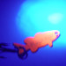 Unknown Flash Fish UV (świeci w ultrafiolecie), nikiel/UV - świeci w ultrafiolecie, 3,4 g błystka wahadłowa #3254