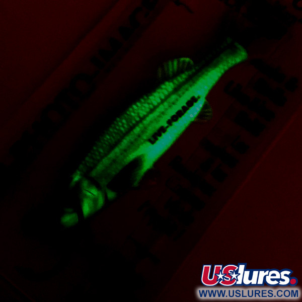 Northland tackle Live Forage (świeci w ciemności), Realistyczny obraz ryb, 7 g błystka wahadłowa #5142