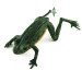  Delong Frog, zielony, 5 g  #6251